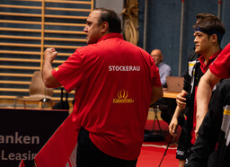 Die Stockerauer Faust
